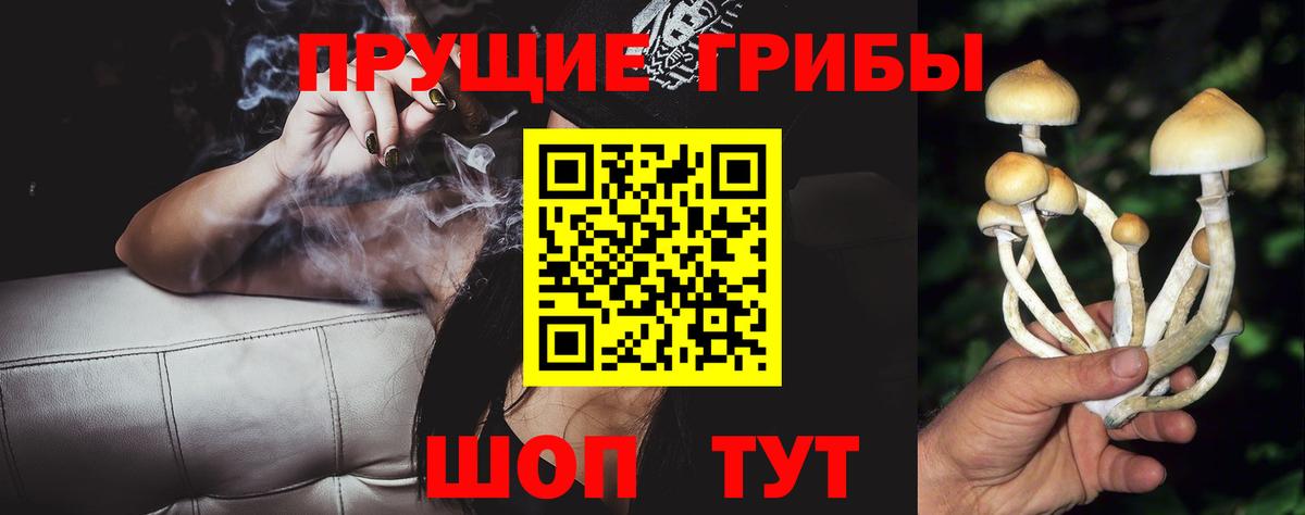 Псилоцибиновые грибы мицелий Сызрань